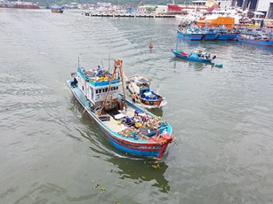 Xử phạt nghiêm vi phạm khai thác hải sản bất hợp pháp