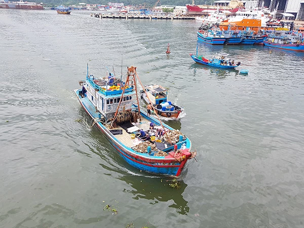 Tàu cá của ngư dân Đà Nẵng ra khơi đánh bắt thuỷ sản.