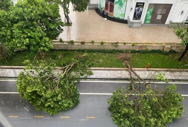 4 người chết, 78 người bị thương do bão số 3