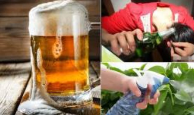 Đừng vứt bia hết hạn, đổ lên tóc rồi xoa, hiệu quả chăm sóc kỳ diệu, hãy học thêm điều mới