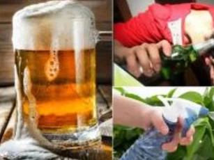 Đừng vứt bia hết hạn, đổ lên tóc rồi xoa, hiệu quả chăm sóc kỳ diệu, hãy học thêm điều mới
