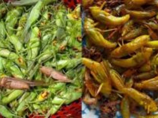 'Tóp mỡ xanh' là gì mà được người giàu săn lùng?