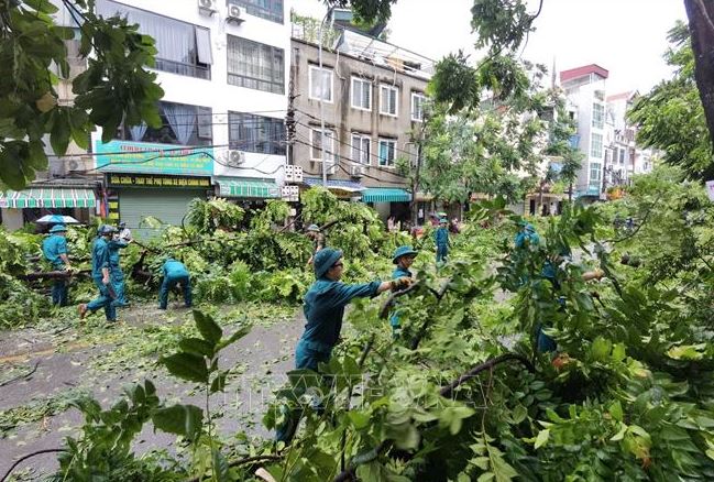 Khẩn trương giúp đỡ người dân ảnh hưởng bão số 3 vượt qua khó khăn, khôi phục sản xuất