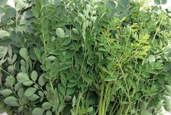 Nó là rau và cũng là 'thịt bò của người nghèo', tốt ngang tổ yến, nhân sâm, ngoài chợ lúc nào cũng có nhưng ít người biết đến