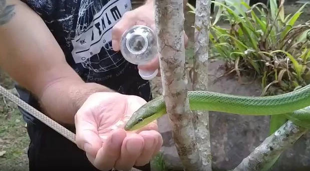 Ảnh cắt từ clip