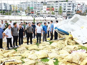 Nhìn lại siêu bão YAGI với những giải pháp lâu dài - Bài cuối: Bài học ứng phó với thiên tai