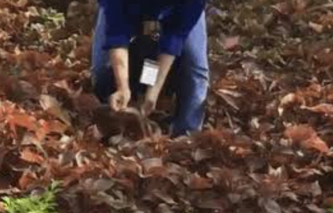 CLIP: Cô gái xinh đẹp "tay không bắt rắn" khiến gần chục thanh niên ngỡ ngàng, nhưng hành động sau đó mới thật sự khiến mọi người trầm trồ