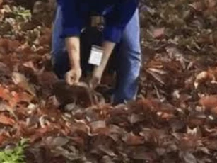 CLIP: Cô gái xinh đẹp "tay không bắt rắn" khiến gần chục thanh niên ngỡ ngàng, nhưng hành động sau đó mới thật sự khiến mọi người trầm trồ