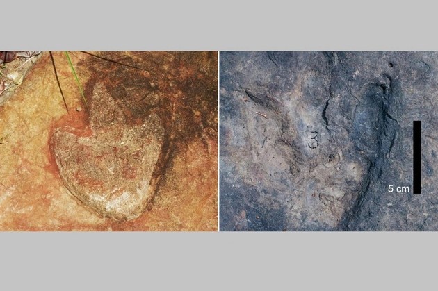 Theo dấu khủng long, vô tình phát hiện siêu lục địa