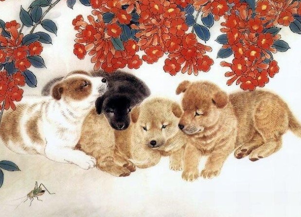 Tử vi tuổi Tuất tháng 9/2024: Vận khí khó lường, có cả hung lẫn cát