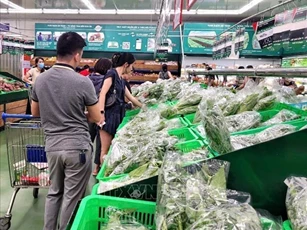 Rau Đà Lạt tăng sản lượng cung cấp ra các tỉnh phía Bắc