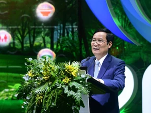 Doanh nghiệp thiệt hại hàng ngàn tỷ đồng: Bài học từ bão số 3