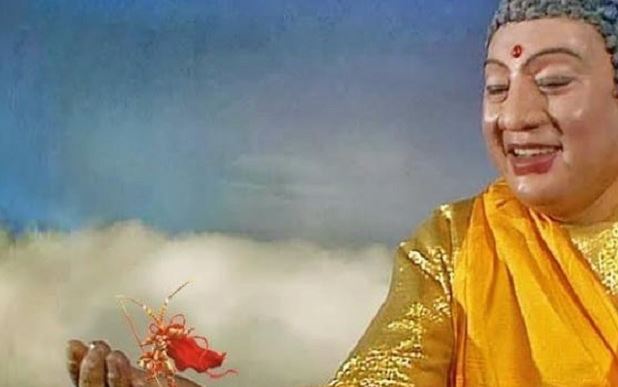 B&#xF3;c tr&#x1EA7;n l&#xFD; do Ph&#x1EAD;t T&#x1ED5; Nh&#x1B0; Lai th&#xF4;ng su&#x1ED1;t m&#x1ECD;i vi&#x1EC7;c nh&#x1B0;ng l&#x1EA1;i nhi&#x1EC1;u l&#x1EA7;n h&#x1ECF;i lai l&#x1ECB;ch T&#xF4;n Ng&#x1ED9; Kh&#xF4;ng