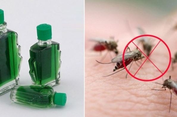 Nh&#x1ECF; d&#x1EA7;u gi&#xF3; v&#xE0;o gi&#x1EA5;y, ti&#x1EBF;t ki&#x1EC7;m &#x111;&#x1B0;&#x1EE3;c c&#x1EA3; &#x111;&#x1ED1;ng ti&#x1EC1;n nh&#x1EDD; 5 c&#xF4;ng d&#x1EE5;ng: &#x110;&#x1EB7;c bi&#x1EC7;t t&#x1ED1;t cho ng&#xE0;y m&#x1B0;a &#x1EA9;m!