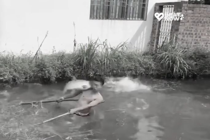 CLIP: 'Chết cười' với cảnh nam thanh niên đi bắt cá, chưa bắt được con nào đã bị cá phi tới tấp vào mặt