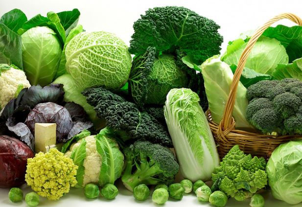 Loại rau hàng đầu giúp hạ huyết áp hiệu quả ở người cao tuổi, cực kỳ phổ biến ở Việt Nam