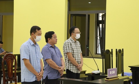 Cà Mau: Giám đốc công ty Thiện Thanh lãnh án vì làm giả tài liệu cơ quan tổ chức