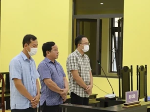 Cà Mau: Giám đốc công ty Thiện Thanh lãnh án vì làm giả tài liệu cơ quan tổ chức
