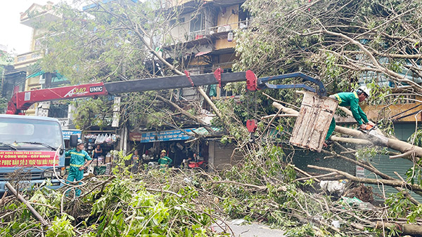 Nhiều doanh nghiệp Đà Nẵng cử nhân viên ra miền Bắc hỗ trợ khắc phục lưới điện, cây xanh