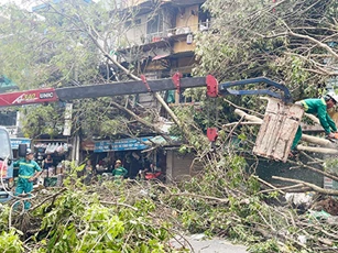 Nhiều doanh nghiệp Đà Nẵng cử nhân viên ra miền Bắc hỗ trợ khắc phục lưới điện, cây xanh