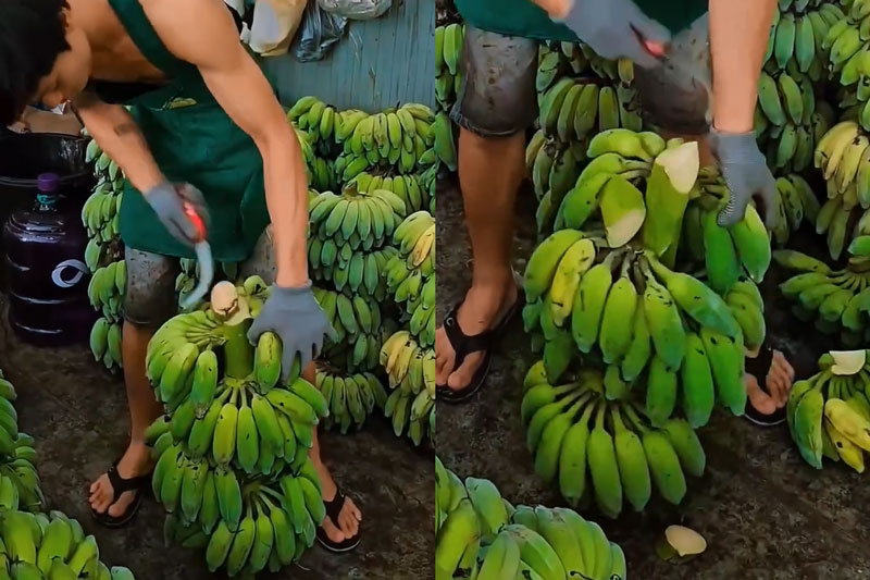 CLIP: Màn cắt chuối 'thần sầu' của anh chàng thanh niên