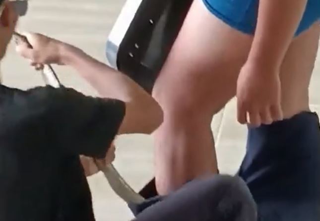 CLIP: Rắn hổ mang chui vào quần của giáo viên và cái kết ít ai ngờ tới