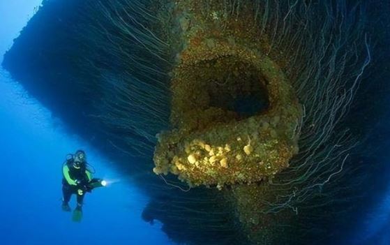 Các nhà khoa học phát hiện ‘linh hồn vực thẳm’ rùng rợn ở độ sâu 10.000 dưới lòng đại dương