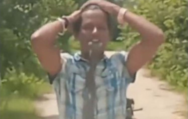 CLIP: Nam thanh niên ngậm đầu rắn hổ mang để cha quay video đăng lên mạng xã hội và cái kết đầy ám ảnh