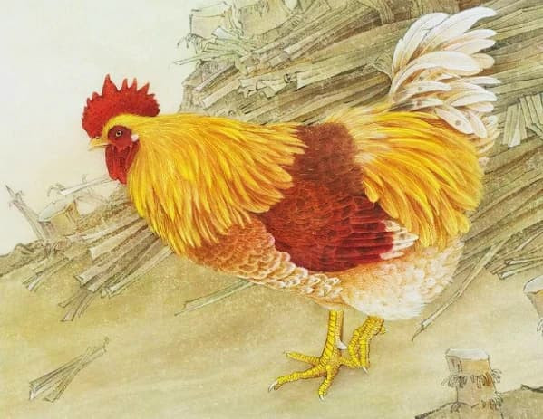 Tuổi Dậu đại cát: Nên duyên vợ chồng với những con giáp này là cuộc hôn nhân “bề trên”, sau khi kết hôn cả đời sẽ giàu sang phú quý