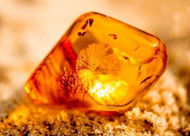 1 gia đình đào giếng trúng được khối đá quý hơn vàng, cả làng đổ xô đi làm giàu, kéo cả máy cẩu đào bới mỏ kho báu