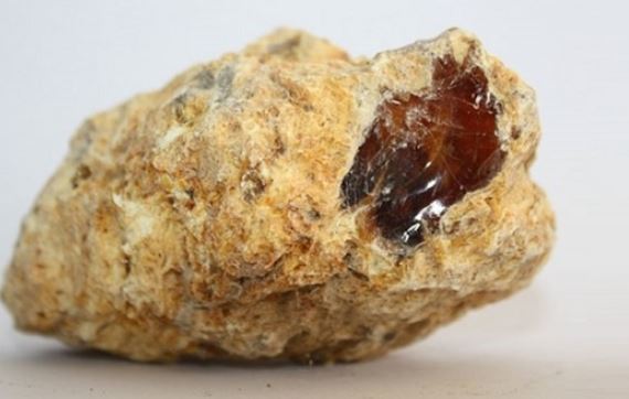 Cậu bé 8 tuổi nhặt được cục đá ngoài biển, hóa ra là báu vật cả thế giới sốt sắng săn lùng, có tiền chưa chắc mua được