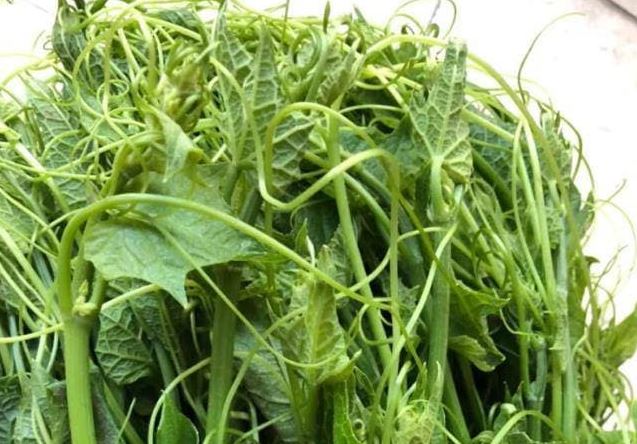 Đây chính là 'vua rửa ruột': Ăn một lần mỗi ngày, bụng xẹp, da trắng mịn, eo thon chân gọn!