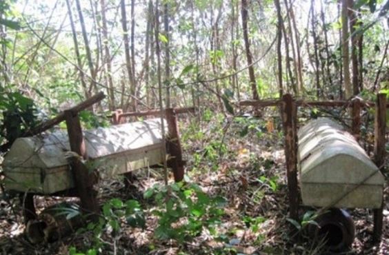 Bí ẩn địa điểm duy nhất của Việt Nam được gọi là ‘rừng ma’, bất khả xâm phạm chỉ dành cho người chết