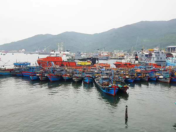 Đà Nẵng: Ngăn ngừa tình trạng tàu cá hoạt động bất hợp pháp