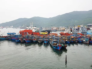 Đà Nẵng: Ngăn ngừa tình trạng tàu cá hoạt động bất hợp pháp