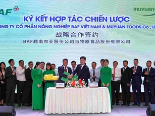 Áp dụng chuyển đổi số, trí tuệ nhân tạo trong chăn nuôi