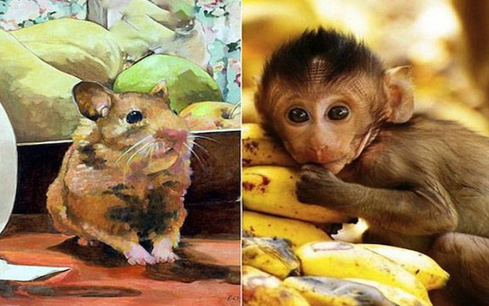 4 tháng nữa đến Tết Ất Tỵ 2025: 3 tuổi đắc lộc đắc tài, đếm tiền mỏi tay