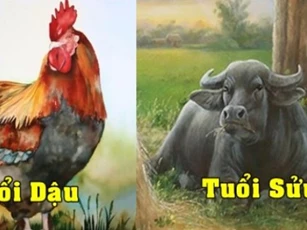 Từ nay đến Tết 2025, 3 con giáp kiếm tiền dễ dàng, mọi sự suôn sẻ, an tâm đón cuộc sống mới