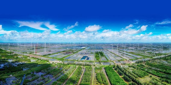 Đánh giá cao đối tác hỗ trợ Việt Nam tiếp cận quỹ tài chính xanh quốc tế