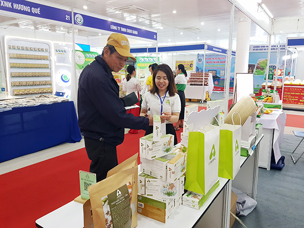 Hoàn thiện chính sách pháp luật, thúc đẩy sản xuất và tiêu dùng bền vững