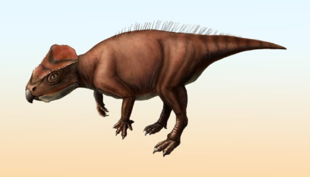 Nhật Bản: Lộ diện loài quái thú đầu tam giác 113 triệu tuổi