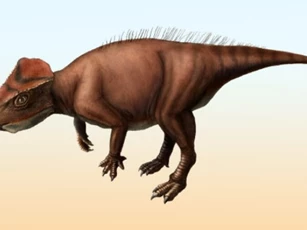 Nhật Bản: Lộ diện loài quái thú đầu tam giác 113 triệu tuổi