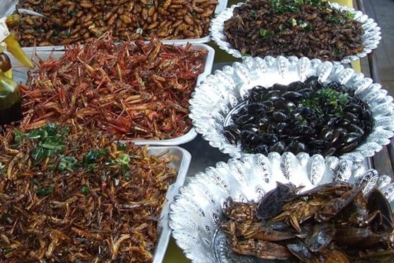 Khám phá chợ côn trùng độc đáo ở Campuchia