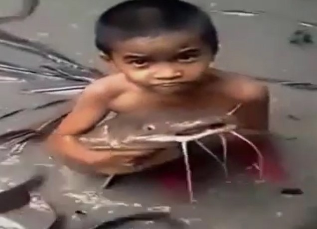 CLIP: Cậu bé vô tư chơi đùa bên bầy cá trê khổng lồ, một cảnh tượng khiến nhiều người vừa ngạc nhiên vừa thích thú