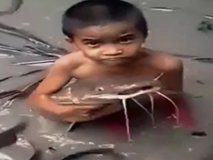 CLIP: Cậu bé vô tư chơi đùa bên bầy cá trê khổng lồ, một cảnh tượng khiến nhiều người vừa ngạc nhiên vừa thích thú