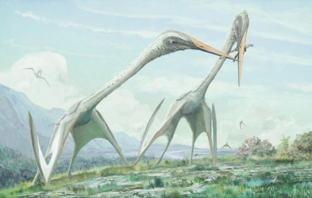 Jordan: Lộ diện 2 quái vật bay sải cánh lên đến 5-10 m