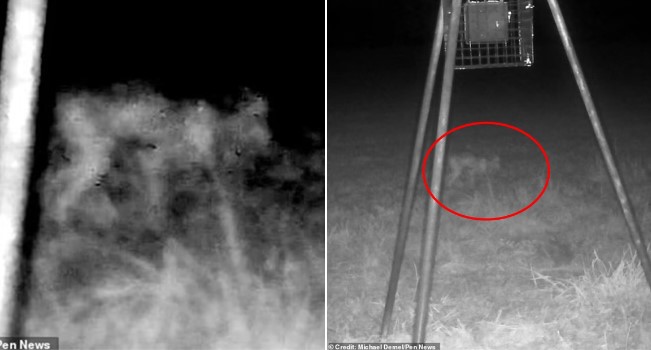 Sinh vật 4 chân bí ẩn nghi người ngoài hành tinh, hút máu khét tiếng xuất hiện vào nửa đêm khiến CĐM phát hoảng