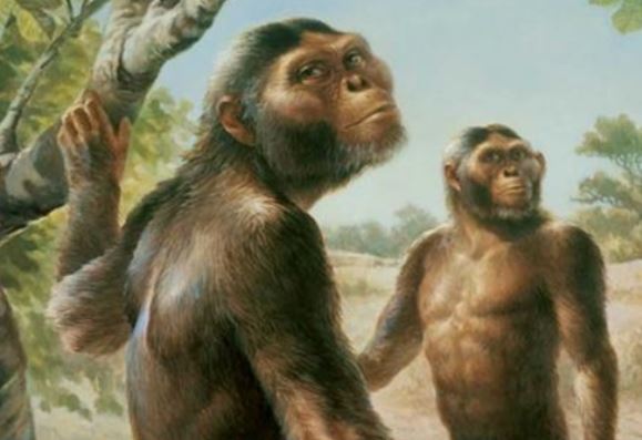 Người đầu tiên trên Trái đất là đàn ông hay phụ nữ? Bất ngờ danh tính người mẹ của tất cả loài người