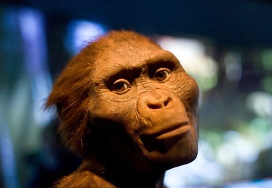 Con người đầu tiên xuất hiện trên Trái Đất bằng cách nào và ai là tổ tiên của loài người?