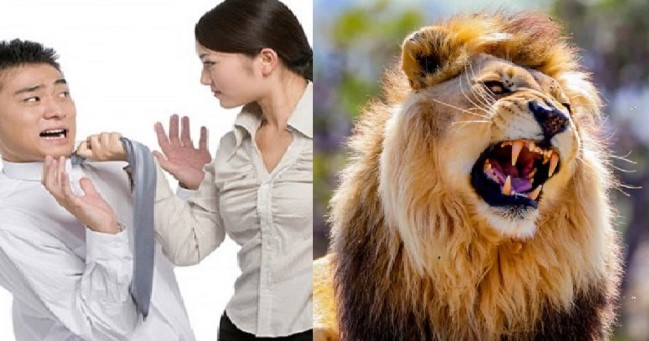 Nguồn gốc cách ví von người vợ đanh đá là 'sư tử Hà Đông', hầu hết đàn ông đều sai hoàn toàn